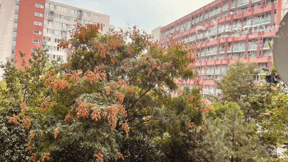 Na predaj výnimočný mezonetový 3 izbový byt na Tomášikovej ul., Bratislava - Nové Mesto